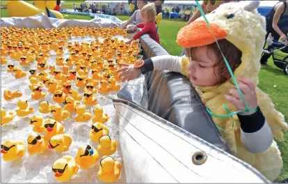  ?? Dan Watson/The Signal (See additional photos at signalscv.com) ?? Autumn Graham, 2, dressed in a duck suit reaches for rubber ducks in a holding pond before the first heat at the 2018 Rubber Ducky Festival held at Bridgeport Park in Valencia on Saturday.