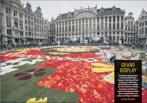  ??  ?? A volunteer lays out part of the Brussels Flower Carpet on the Grand Place in Brussels. More than 500,000 flowers created the Latin American theme, devoted to the Mexican region of Guanajuato which has an exceptiona­lly rich culture and flower tradition.