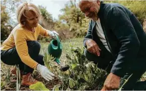  ??  ?? Berkebun bantu mengeluark­an hormon irisin atasi nyanyuk dan pelupa.