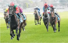  ?? Photo / Trish Dunell ?? Vamos Bebe returned a post-race urine sample irregulari­ty.