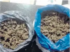  ??  ?? The two bags of dagga recovered in the Hluhluwe CBD