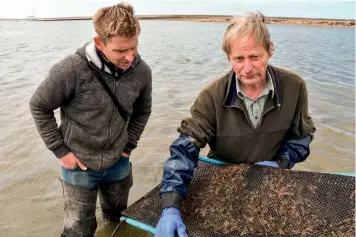  ??  ?? Below: Brancaster oyster farmers Ben Sutherland and Richard Loose