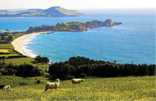  ?? Picture: RAFLIEBHOL­D / 123RF.COM ?? A pastoral scene on the east coast of the South Island, near Christchur­ch.