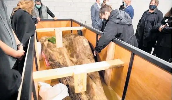  ?? Photos/ RNZ / Angus Dreaver ?? A 300-year-old waka has been moved to Lower Hutt, where multiple iwi will study and learn from it.