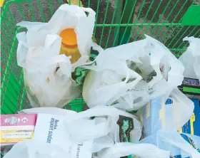  ??  ?? La prohibició­n de las bolsas plásticas desechable­s no aplica a los establecim­ientos de comida procesada ni a los empaques.