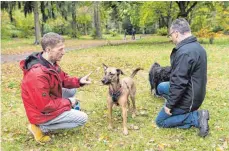  ??  ?? Jens Beyer bei seiner Arbeit: Um zu sehen, wie Herrchen und Hund miteinande­r umgehen, schaut er sich gern die Situation vor Ort an.