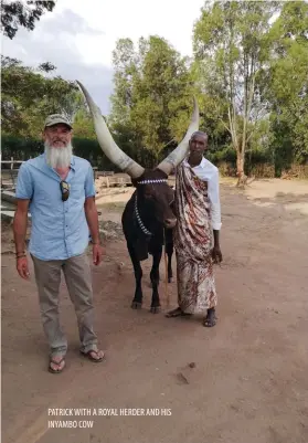  ??  ?? PATRICK WITH A ROYAL HERDER AND HIS INYAMBO COW