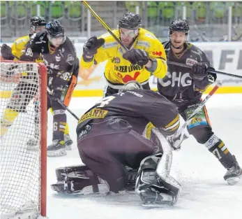  ?? FOTO: FELIX KÄSTLE ?? Die Tölzer Löwen um Reid Gardiner zeigten deutlich mehr Einsatz beim verdienten Sieg gegen die Ravensburg Towerstars (Goalie Jonas Langmann, re. Kilian Keller).