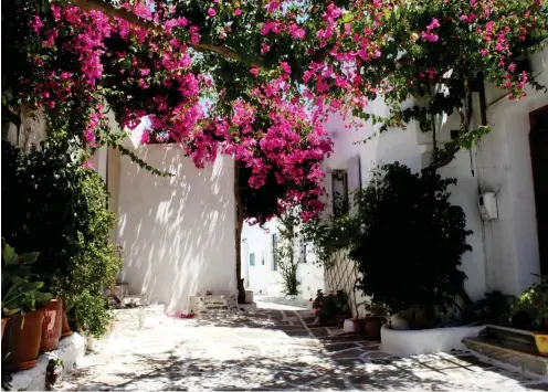  ?? Foto: Horst Schwartz ?? Mit seinen frisch herausgepu­tzten weißen Häusern sieht Paros immer wie geleckt aus.