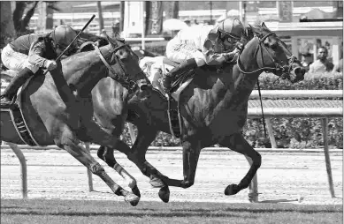  ?? SHIGEKI KIKKAWA ?? Sircat Sally, shown winning the Grade 2 Honeymoon, is targeting two turf stakes at Del Mar.