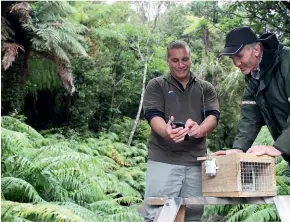  ??  ?? More Government funding will be spent on 20,000 smart predator traps connected to the internet to alert when traps need resetting.