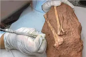  ?? AFP PIC ?? An expert working on the fossilised bones of a dinosaur in Maringa, Parana state, Brazil, earlier this year.