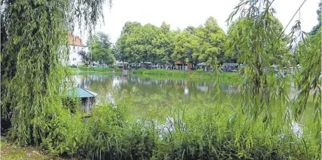  ?? FOTO: BAUCH ?? Der idyllische Dorfmühlwe­iher in Adelmannsf­elden hat von Bürgermeis­ter Edwin Hahn eine Frischzell­enkur verordnet bekommen. Geplant ist hier der Bau einer rund 100 Quadratmet­er großen Seebühne.