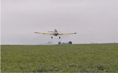  ??  ?? Momento óptimo. El beneficio potencial de los fungicidas depende de las lluvias caídas entre los estados R3 y R5.