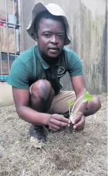  ?? ?? Thabani Ngubane doing what he does best - farming