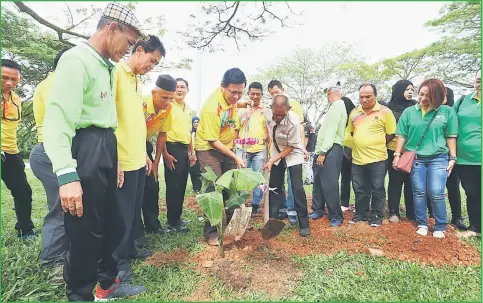  ?? — Photo by Muhammad Rais Sanusi ?? Dr Abdul Rahman (front, with spade) plants a banana sapling during the event at Bandar Baru Samariang.