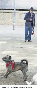  ?? Álvaro Monge ?? Un perro sin atar en un parque de Barcelona, ayer.