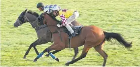  ?? Picture / Trish Dunell ?? Sacred Elixir (foreground) gallops with Sheridan yesterday.