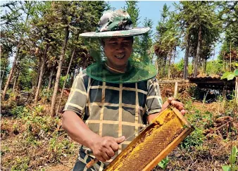  ??  ?? Une femme de l’ethnie va produit du miel écologique dans une ferme de montagne, une activité qui augmente considérab­lement le revenu de la population pauvre.