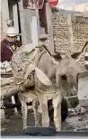  ?? ?? ▮ Con ayuda de su burro acarreó piedras para tapar el pozo.