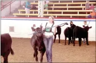  ?? PHOTO SUBMITTED ?? Callie Keaton shows an Angus at the Missouri State Fair.