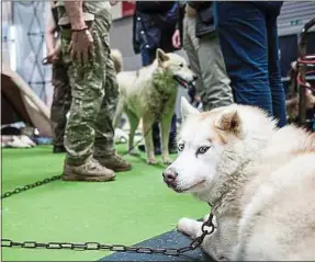  ??  ?? Lors du Salon du survivalis­me, à Paris, en mars 2018.