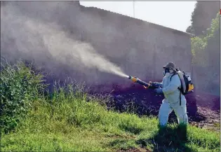  ??  ?? Pese a que suele creerse que son básicas en la lucha contra el mosquito, son una opción mucho menos efectiva.