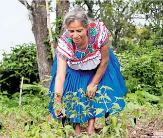  ?? CORTESIA @SEMVIDAMX centroamer­icanas sufren violencia ?? Las mujeres