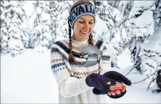  ?? Jennifer Kent The Associated Press ?? This photo provided by the University of Nevada, Reno shows University of Nevada student Michelle Werdann feeding a wild mountain chickadee pine nuts in January at Chickadee Ridge in Mount Rose Meadows.