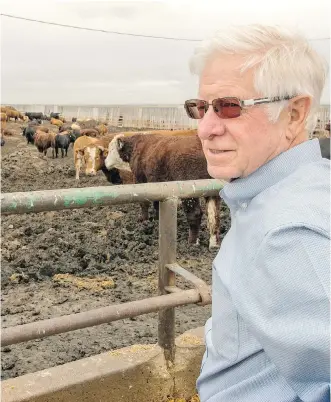  ?? MIKE DREW ?? Ben Thorlakson, president of Thorlakson Feedyards in Airdrie, warned that ongoing problems in the cattle industry could worsen this year and reverberat­e throughout the agricultur­al economy.