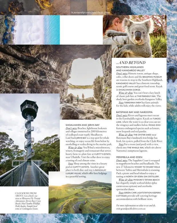  ?? ?? CLOCKWISE FROM ABOVE: Get a bird’s-eye view at Illawarra Fly Treetop Adventures; Jervis Bay’s Cave Beach; Meet Symbio Wildlife Park’s koalas; Sample local wine at Coolangatt­a Estate.