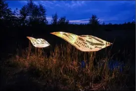  ?? ?? and volunteer engagement officer at the reserve, said: “Our lantern trail is back.
“Last year’s event was absolutely magical and sold out, so this year we have two nights instead and there’s more moving puppets this time. “It’s fantastic to work together with community groups and local families to create these exciting events and people can explore Old Moor after dark which is great fun.”