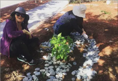  ?? PHOTO BY ANNE GELHAUS ?? Diquon Gong, left, and another volunteer help lay down river rocks in a native garden she and several volunteers planted Feb. 15at West Valley Community Services. Gong is a student in Foothill College’s horticultu­ral program along with project leader Shelkie Tao, founder of Water Efficient Gardens in Cupertino.