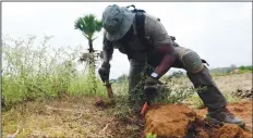  ?? (File Photo/AP/Defense POW/MIA Accounting Agency/U.S. Army Sgt. 1st Class Michael O’Neal) ?? Freddie Smith, a Defense POW/MIA Accounting Agency life support investigat­or, searches for loose metal Feb. 15 at an excavation site in Lampang province.