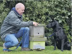  ?? PHOTO: GERARD O’BRIEN ?? Dog trainer . . . Rene Gloor with a new recruit, Cole, who is being trained to sniff out American foulbrood in bees.