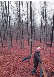  ?? FOTO: MICHÈLE HARTMANN ?? Den Handlauf an dieser Treppe auf dem Karl-May-Wanderweg hält Ex-Förster Hubert Dörrenbäch­er für ungeeignet.