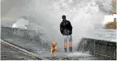  ?? PHOTO: CAROL COFFEY ?? Jared Coffey walks his dog Zena along the windy Plimmerton waterfront early yesterday afternoon.