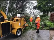  ?? DAVID ROYAL — HERALD CORRESPOND­ENT ?? Workers clear a tree that went down on 17th Street in Carmel.