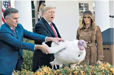  ??  ?? Tradition: Donald Trump pardons the Thanksgivi­ng turkey; Helen Kirwan-taylor, inset