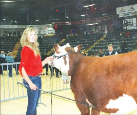  ?? CLAUDIA VILLEMAIRE ?? Amanda Bushey taking top honors proving beef breeders in the Townships are among the best. Competitor­s from the Maritimes including Prince Edward Island as well as Ontario and across Quebec have consistent­ly turned out just about every year, making this show not only the largest in Quebec but a showplace for examples of some of the best in many breeds of beef cattle.