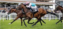  ??  ?? ABILITY. Purser (green, pink and white colours) drops in class and looks hard to oppose in Race 2 at Lingfield today.