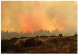  ??  ?? Ablaze: Forestry is consumed by fire near Sligachan on the Isle of Skye