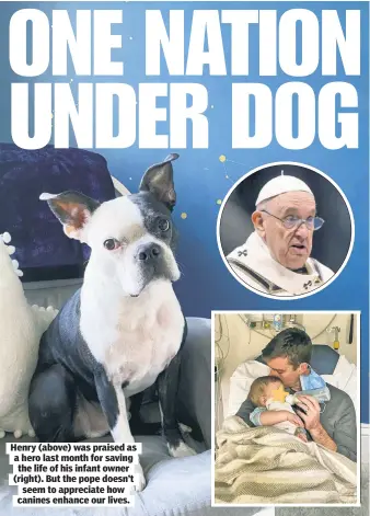  ?? ?? Henry (above) was praised as a hero last month for saving the life of his infant owner (right). But the pope doesn’t seem to appreciate how canines enhance our lives.