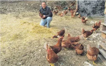  ?? FOTO: FRANZ DREYER ?? Der Landkreis ist vom jüngsten Ausbruch der Geflügelpe­st bisher nicht betroffen. Rainer Duttlinger vom Hattinger Bio- LandGefüge­lhof freut sich über die Aufhebung der Stallpflic­ht. Seine Hühner können den Auslauf wieder genießen.