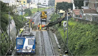  ??  ?? Queda de uma árvore na Linha de Cascais obrigou ao corte da circulação de comboios.