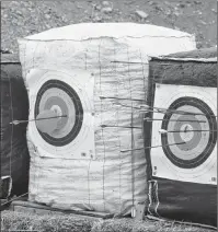  ?? NIKKI SULLIVAN/CAPE BRETON POST ?? The target for the range shooting part of Highland Bow and Arrow. Each one has a balloon in the centre, which only those with good aim can hit. There is also a one-kilometre trail with targets like bobcats, zombies and dinosaurs.