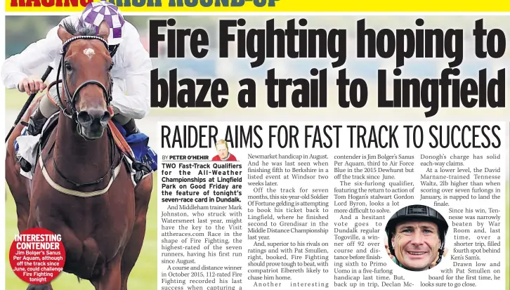  ??  ?? INTERESTIN­G CONTENDER Jim Bolger’s Sanus Per Aquam, although off the track since June, could challenge Fire Fighting tonight