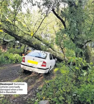  ??  ?? Destroyed Numerous vehicles were badly damaged when a tree fell in Blanefield