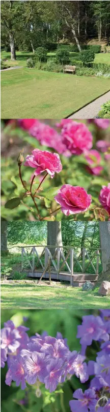  ??  ?? Top row (l-r): The formal garden east of the house; long-term gardener Michael Allanach. Second row:
Trellised roses; happy hens enjoying the dappled sunshine.
Third row: Rustic, woodland bridge; Delphinium; Geranium on the terrace. Fourth row: Purple geranium; the beautiful new glasshouse; roses add a burst of colour.