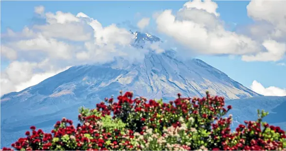  ?? VANESSA AURIE/STUFF ?? Visitor numbers on Taranaki Maunga have increased, but are still not a pre Covid levels.